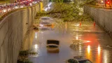 Zapopan: fuerte lluvia provoca inundaciones, cierres viales y caída de árboles