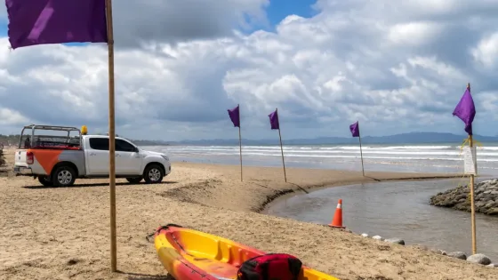 Protección Civil coloca banderas moradas en playas de Manzanillo por avistamientos de cocodrilos