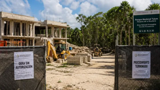 Semarnat niega regularización del hotel Papaya Project en Tulum; obra operó sin autorización
