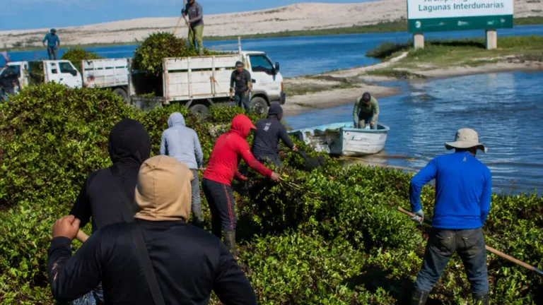 Arranca limpieza en la Laguna de San Julián para recuperar el Archipiélago de Lagunas Interdunarias