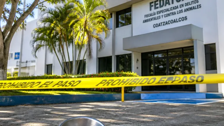Coatzacoalcos: vinculan a proceso a presunta responsable por muerte de un canino