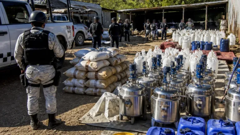 Cooperación binacional, clave en el desmantelamiento de tres narcolaboratorios en Guerrero