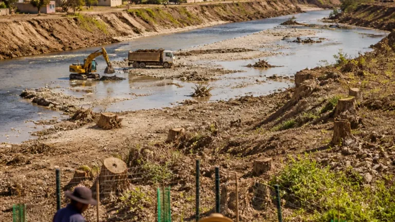 Daño al arbolado del río Tula amenaza recuperación que podría tardar hasta 100 años
