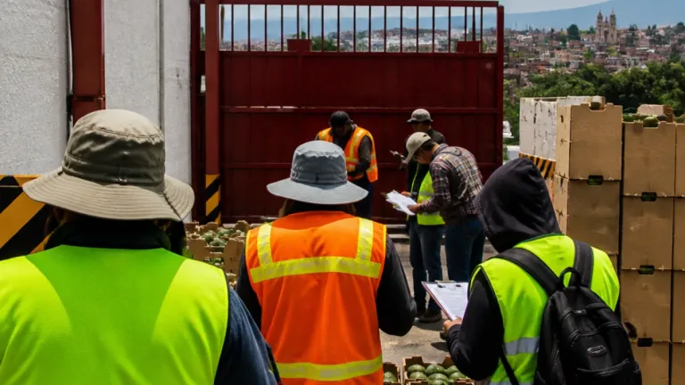 Gobierno de Michoacán minimiza impacto económico por breve suspensión de inspección de aguacate