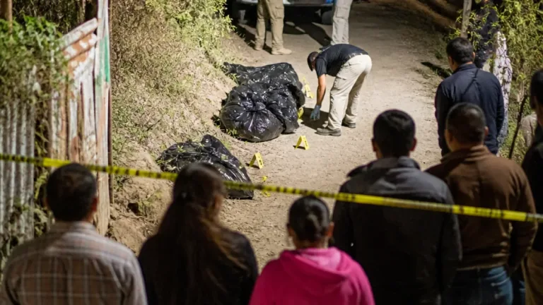 Hallan en Naucalpan entre 11 y 12 perros muertos dentro de bolsas; Fiscalía investiga