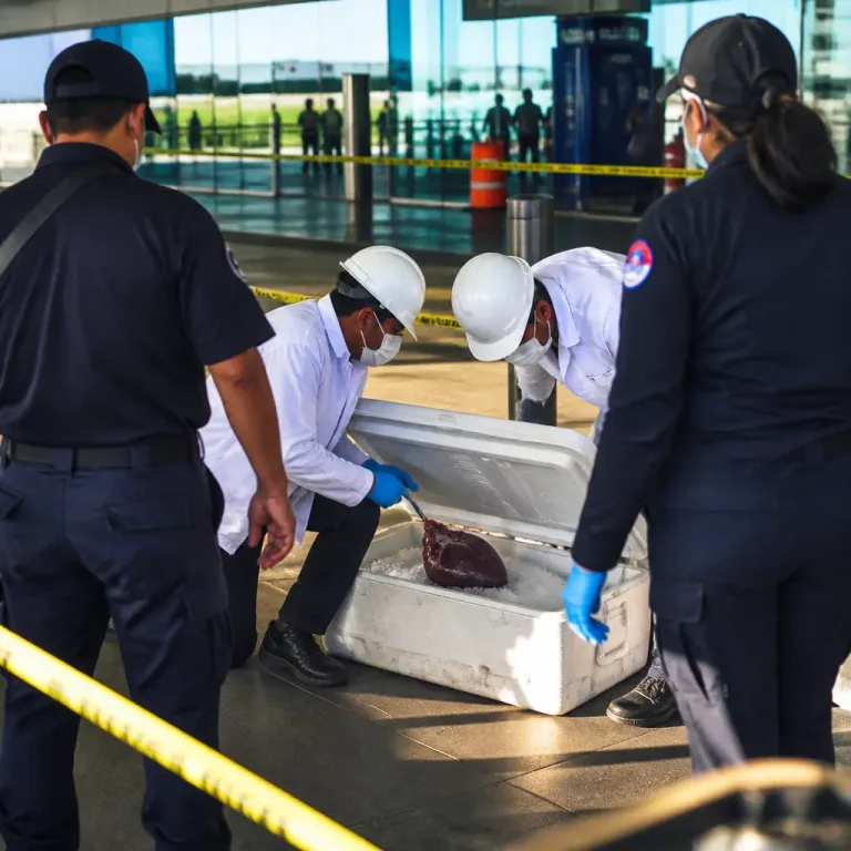 Dejó una conservadora con un riñón en Aeroparque como “broma” y fue procesado por intimidación pública