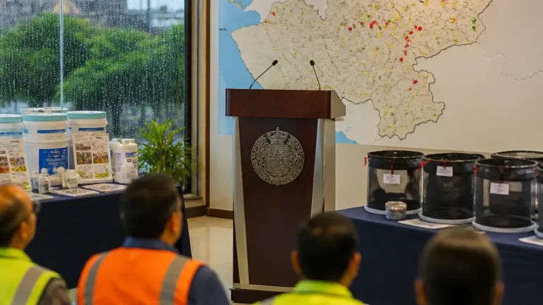 Jalisco reporta caída de casi 90% en casos de dengue en 2026; autoridades piden mantener prevención