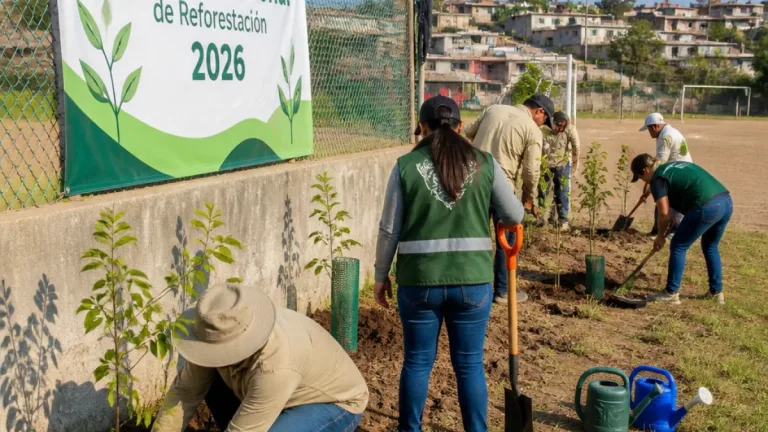Poza Rica participa en la Jornada Nacional de Reforestación 2026 para recuperar espacios públicos