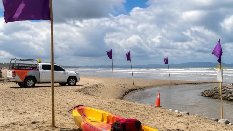 Protección Civil coloca banderas moradas en playas de Manzanillo por avistamientos de cocodrilos