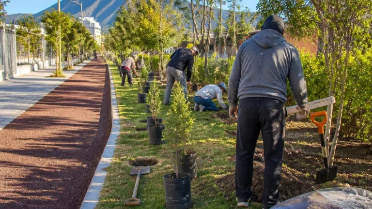Saltillo impulsa reforestación permanente; plantan 60 árboles en Bosque Lineal Urbano