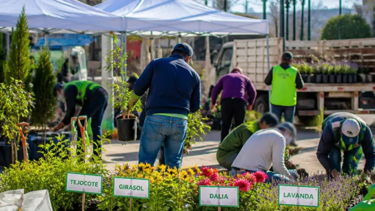Tulancingo avanza en reforestación: plantarán 10,625 especies polinizadoras en espacios públicos
