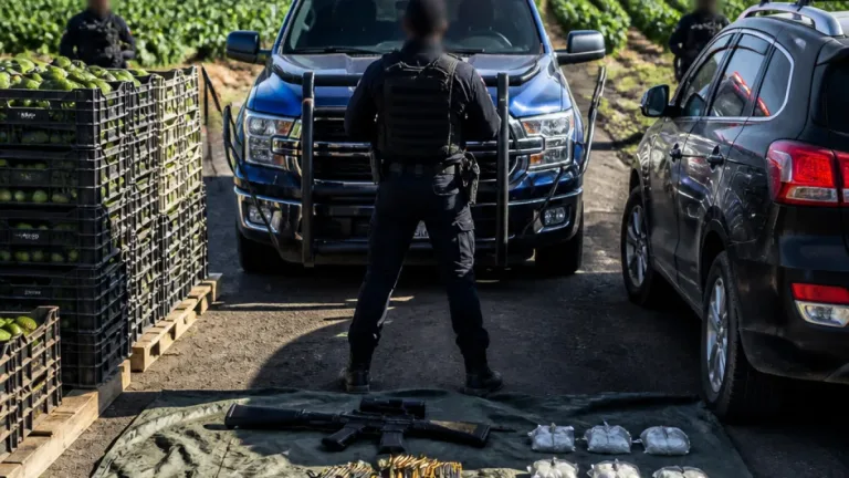 Uruapan: detienen a 'El Vikingo', presunto extorsionador de aguacateros vinculado al CJNG