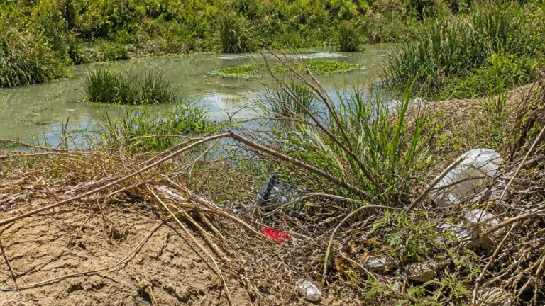 Vecinos de Piedras Negras piden limpieza del arroyo El Soldado tras hallar nidos de víboras