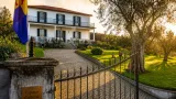 Governo da Madeira compra propriedade de Lourdes Castro por 3 milhões para uso cultural