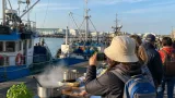 Out of the Blue regressa a Matosinhos e aposta na gastronomia atlântica e sustentabilidade