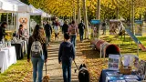 Parque da Cidade de Castelo Branco acolhe 'Patas & Patudos' com programa para toda a família