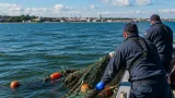 Polícia Marítima apreende arte de pesca ao largo da Praia da Velha, no Seixal