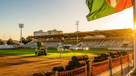 Amadora: Estrela anuncia substituição integral do relvado do Estádio José Gomes