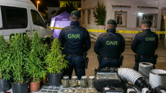 GNR detém três em operação anti-tráfico em Tavira com apreensão de 17.084 doses