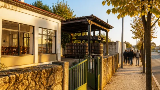 Mirandela: EPA de Carvalhais enfrenta risco de arranque lectivo por falta de funcionários