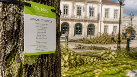 Pombal associa-se à campanha TreeTag e identifica 11 árvores para destacar serviços ecológicos