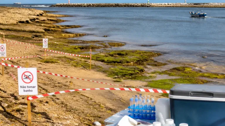 Banhos desaconselhados na praia de Matosinhos após deteção de contaminação microbiológica