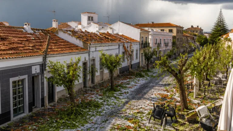 IPMA identifica 'downburst' como causa das fortes rajadas que afetaram Aveiro