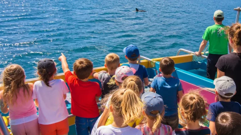 Projeto 'Férias Vivas 2026' juntou cerca de 150 crianças dos bairros sociais e terminou com passeio de observação de cetáceos