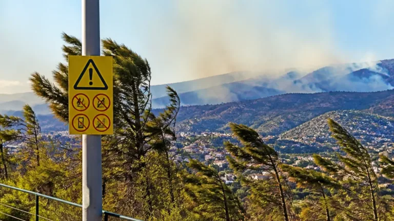 Proteção Civil alerta para subida do risco de incêndio na Madeira com vento mais forte a 13 de agosto