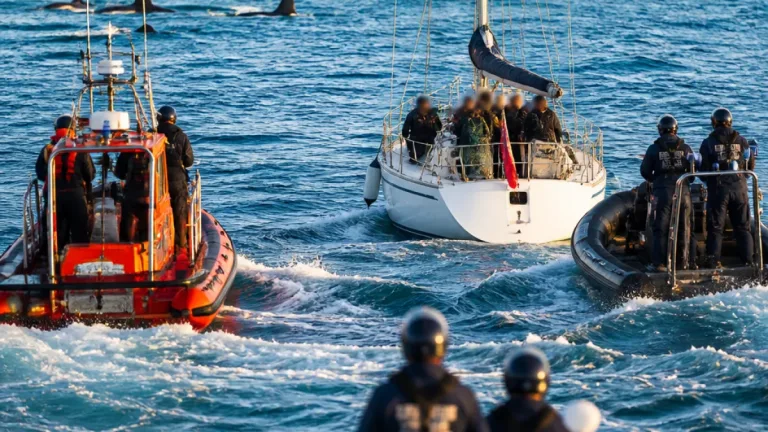 Veleiro atacado por orcas ao largo de Póvoa de Varzim deixa tripulação ilesa