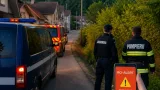 Alertă RO‑Alert la Sărata, Bistrița: un urs a fost semnalat în localitate
