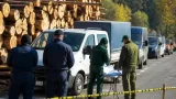 Aproape 400 m³ de lemn confiscat în Caraș-Severin în urma unei operațiuni de control extinse