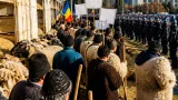Aproximativ 100 de ciobani din Mureș la protestele din Piața Victoriei: revendicări pentru reluarea exporturilor și vaccinare în masă