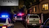 Atenţionare pentru locuitorii din Fălticeni: urs semnalat în zona Rădăşeni–Dumbrava Minunată