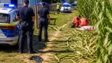 Bărbat reținut după ce și-a înjunghiat mama în gât în satul Petia, comuna Bunești