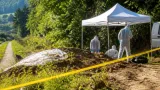Cadavrul unui bărbat dispărut în 2022, descoperit în pădurea din Vâlcea; un bărbat reținut pentru omor
