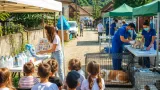 Caravana Solidarității aduce servicii medicale și educație sanitară pentru peste 200 de copii din Vâlcea