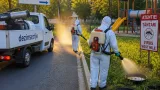 Confirmat la Galați primul caz de meningită cu virus West Nile; autorităţile intensifică dezinsecțiile