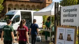 Consiliul Județean Ilfov lansează campanie de sterilizări gratuite pentru pisici în trei localități