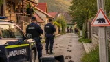 Creștere marcantă a populației de urși în BN: intervențiile în 2026 au depășit totalul anului precedent
