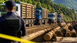 Creștere semnificativă a delictelor silvice în Neamț în primul semestru al anului 2026