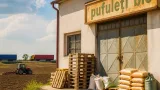 Fermier din Ialomița renunță la fabrica de procesare: retailul românesc, barieră pentru producătorii locali