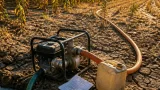 Fermier din Izvoare, Dolj, amendat cu 70.000 lei după ce a irigat ca să-şi salveze culturile