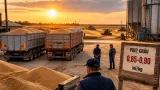 Fermierii din Olt obțin producții bune, dar marja de profit dispare din cauza costurilor și prețurilor scăzute