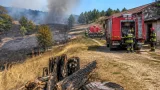 Incendiu la fermă în Voinești: peste 30 de hectare de pădure și vegetație uscată afectate