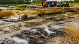 Incendiu subteran în Lunca Mureșului: autoritățile analizează inundarea controlată a brațului Mureșul Mort