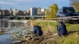 Jandarmii din Mureş: peste 53.000 de lei amenzi în două zile pentru braconaj şi poluarea râului Mureş