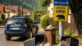 Număr dublu de apeluri privind prezenţa urşilor în Harghita: 466 sesizări până în 22 septembrie