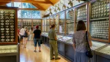 Peste 5.000 de insigne expuse la Muzeul din Sfântu Gheorghe în cea mai amplă expoziţie locală