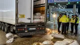 Poliţia de frontieră din Calafat a găsit 12 migranţi ascunşi într-un camion cu alune pe ruta Turcia–Belgia